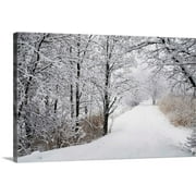 Great BIG Canvas | "A Path Lined With Trees And Covered In Snow; Quebec, Canada" Canvas Wall Art - 36x24