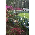 thumbnail image 1 of Great BIG Canvas | "A border of spring flowers" Art Print - 32x48, 1 of 4