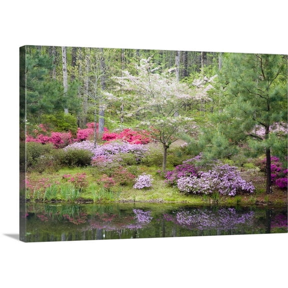 Great BIG Canvas | "A mixture of dogwood and azaleas in the garden" Canvas Wall Art - 36x24