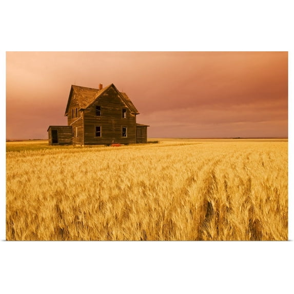 Great BIG Canvas | "Abandoned Farm House And Wheat Field, Saskatchewan, Canada" Art Print - 36x24