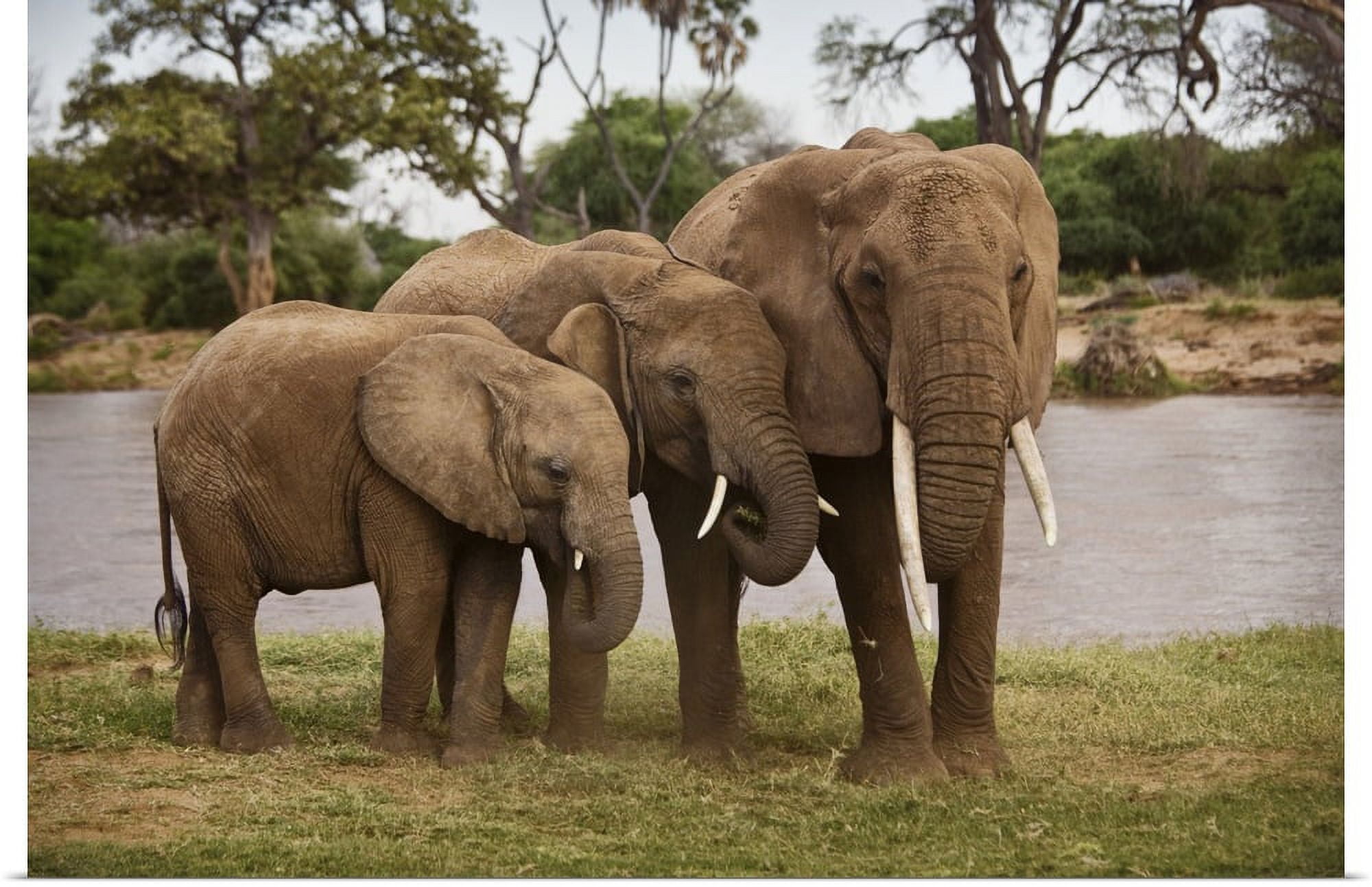 GBC | \, image size:2000x1292