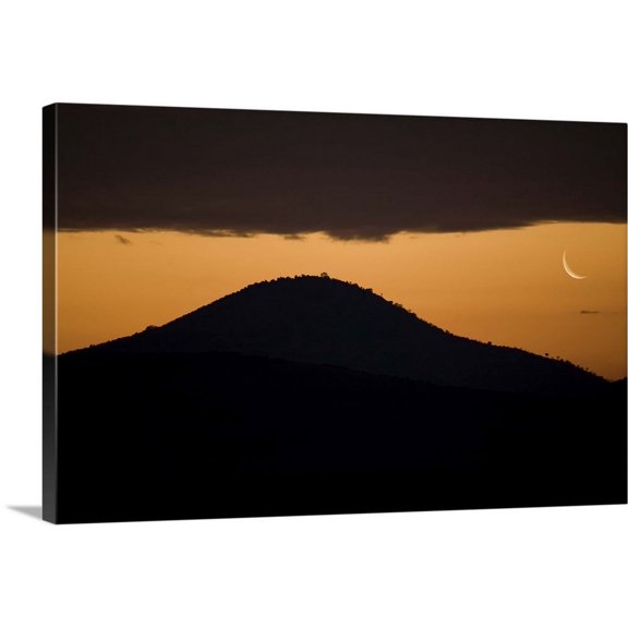Great BIG Canvas | "African Moonrise" Canvas Wall Art - 24x16