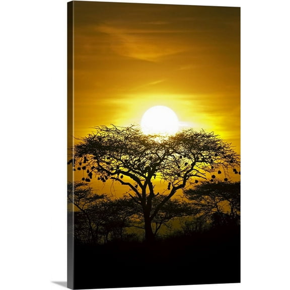 Great BIG Canvas | "African Sky" Canvas Wall Art - 32x48