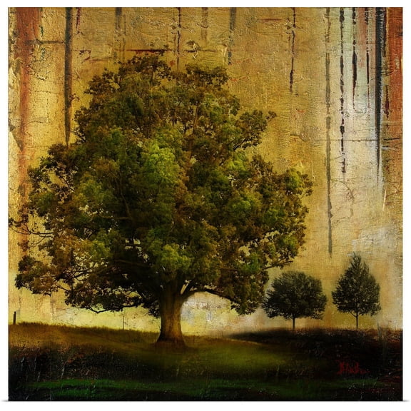 Great BIG Canvas | "Aged Tree II" Art Print - 24x24