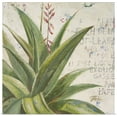 thumbnail image 1 of Great BIG Canvas | "Aloe II" Art Print - 30x30, 1 of 4