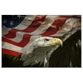 thumbnail image 1 of Great BIG Canvas | "American Eagle" Art Print - 36x24, 1 of 4