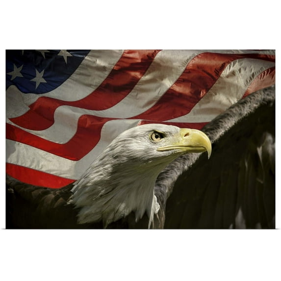 Great BIG Canvas | "American Eagle" Art Print - 36x24