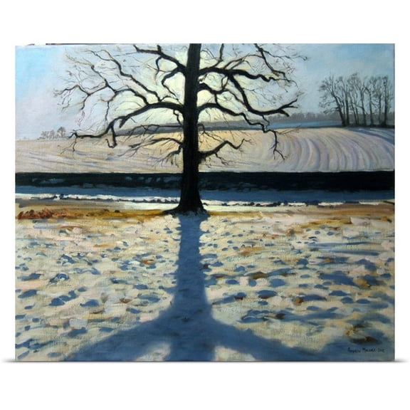 Great BIG Canvas Andrew Macara Poster Print entitled Tree and Shadow, Calke Abbey, Derbyshire (oil on canvas)