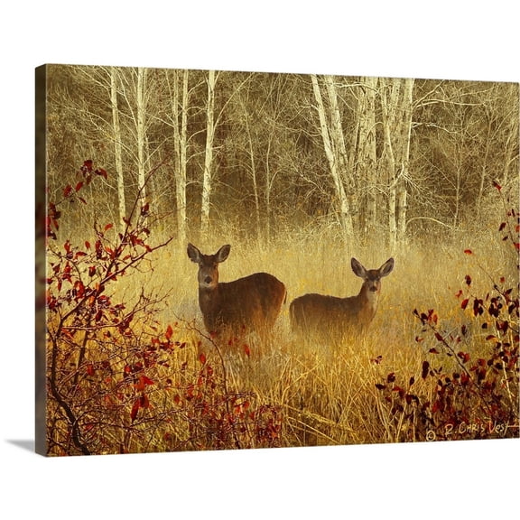 Great BIG Canvas Animals Landscapes Painting Contemporary