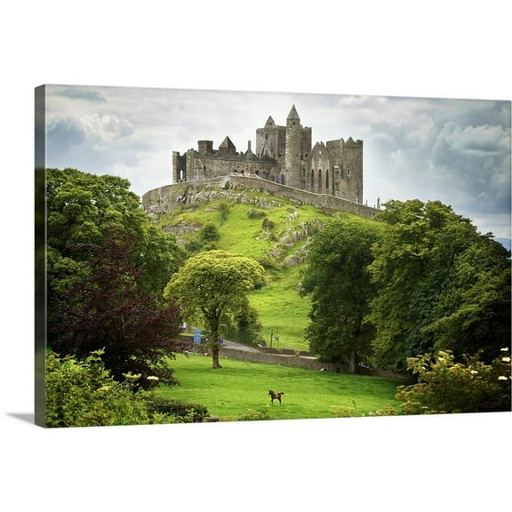 Great BIG Canvas Animals Landscapes People Photography