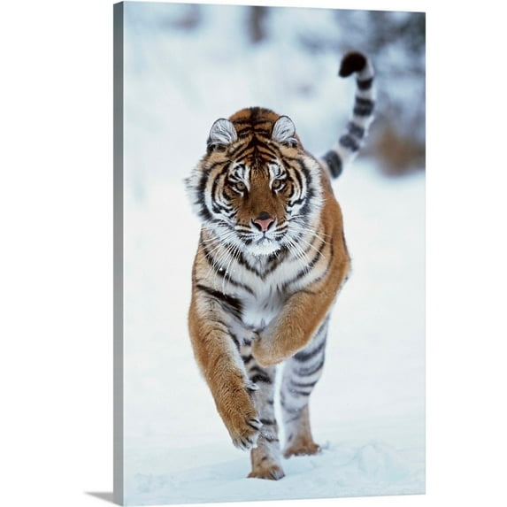 Great BIG Canvas Animals Seasons People Photography