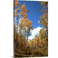 thumbnail image 1 of Great BIG Canvas | "Aspen trees in fall, Santa Fe, New Mexico" Canvas Wall Art - 16x24, 1 of 2