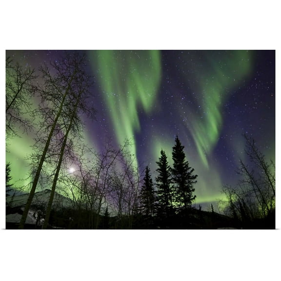 Great BIG Canvas | "Aurora Borealis X" Art Print - 36x24