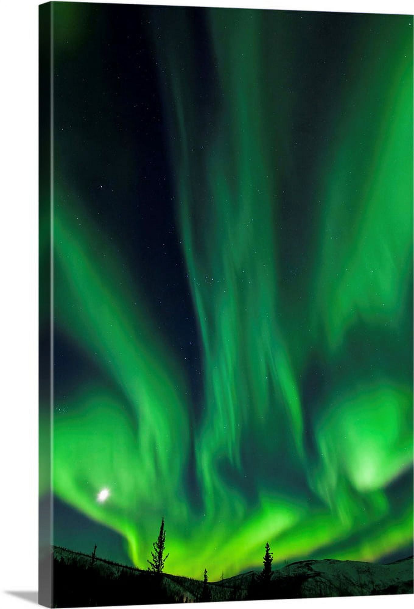 Great BIG Canvas Aurora over the boreal forest Chena River State Recreation Area Fairbanks Canvas Wall Art 24x36 Walmart