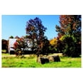thumbnail image 1 of Great BIG Canvas | "Autumn Scene I" Art Print - 36x24, 1 of 4