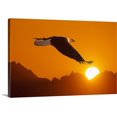 thumbnail image 1 of Great BIG Canvas | "Bald eagle in flight" Canvas Wall Art - 36x24, 1 of 2