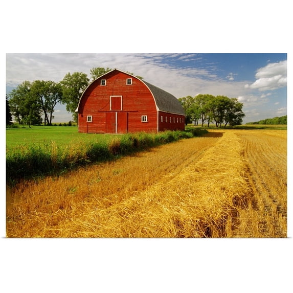 Great BIG Canvas | "Barn, Myrtle, Manitoba, Canada" Art Print - 48x32