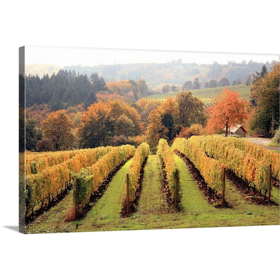 Great BIG Canvas | "Bella Vida I" Canvas Wall Art - 24x16