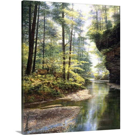 Great BIG Canvas | Bill Makinson Premium Thick-Wrap Canvas entitled Quiet Forest
