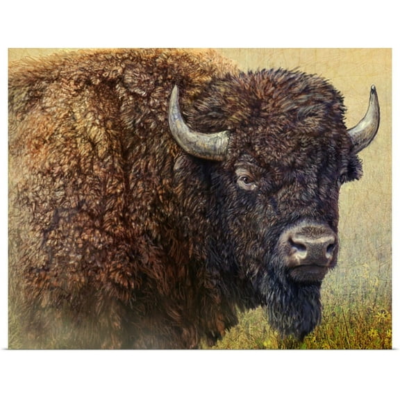 Great BIG Canvas | "Bison Portrait I" Art Print - 20x16