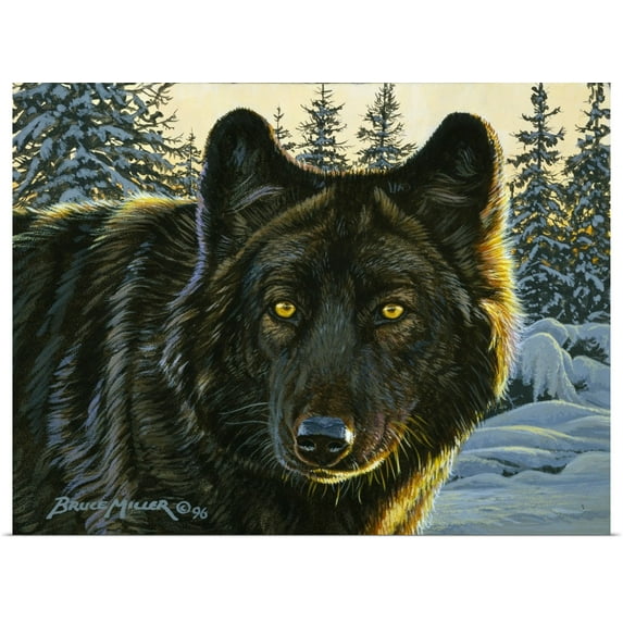 Great BIG Canvas | "Black Wolf" Art Print - 24x18