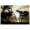 thumbnail image 1 of Great BIG Canvas | "Blissful Shore I" Art Print - 30x20, 1 of 4