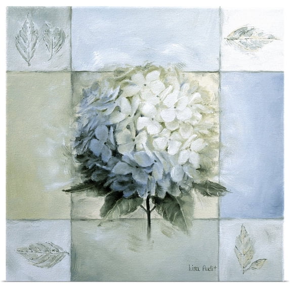 Great BIG Canvas | "Blue Hydrangea Study I" Art Print - 20x20