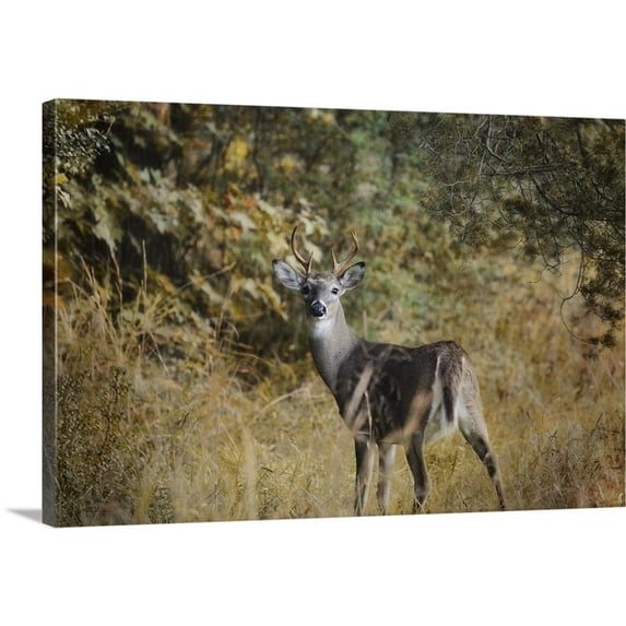 Great BIG Canvas | "Buck In Autumn" Canvas Wall Art - 30x20