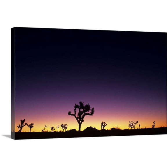 Great BIG Canvas | "California, Mojave Desert, Joshua Tree National Park, Joshua Trees Silhouetted At Dawn" Canvas Wall Art - 36x24