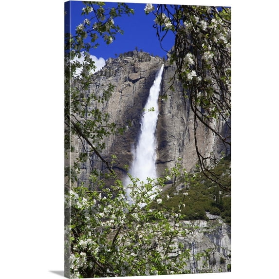 Great BIG Canvas | "California, Yosemite National Park, blooms from an apple tree and Upper Yosemite Falls" Canvas Wall Art - 16x24