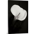 thumbnail image 1 of Great BIG Canvas | "Calla Lily Perfection II" Canvas Wall Art - 24x36, 1 of 2