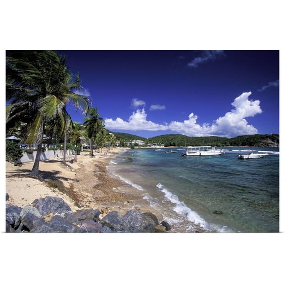 Great BIG Canvas | "Caribbean, US Virgin Islands, St. Thomas, Bolongo Bay. Beach and bay view" Art Print - 36x24