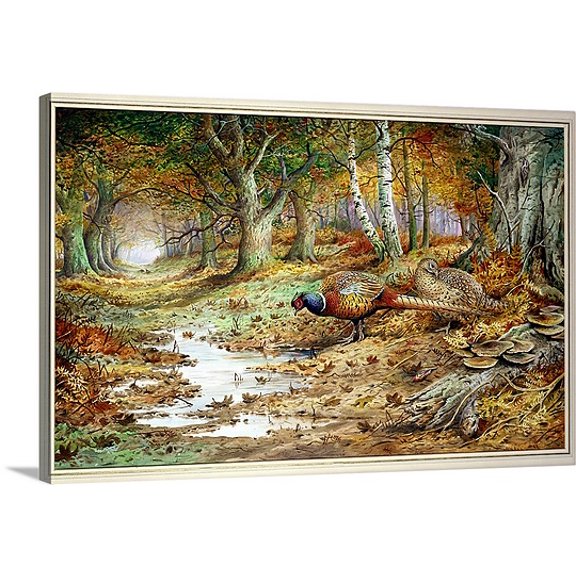 Great BIG Canvas Carl Donner Premium Thick-Wrap Canvas entitled Cock Pheasant and Sulphur Tuft Fungi, (w/c)