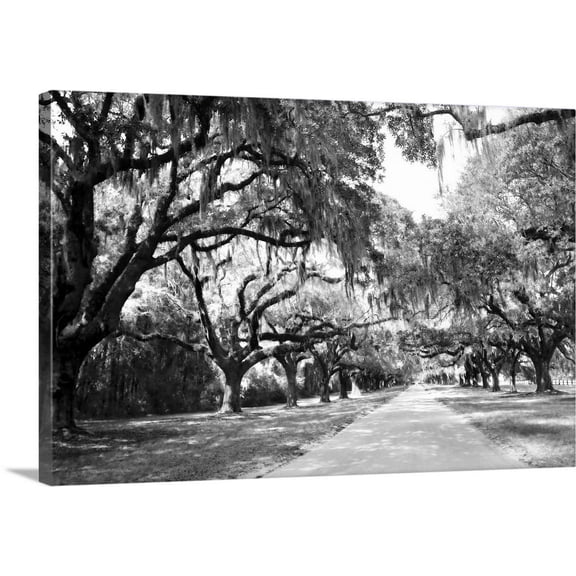 Great BIG Canvas | "Charleston Oaks 10" Canvas Wall Art - 24x16