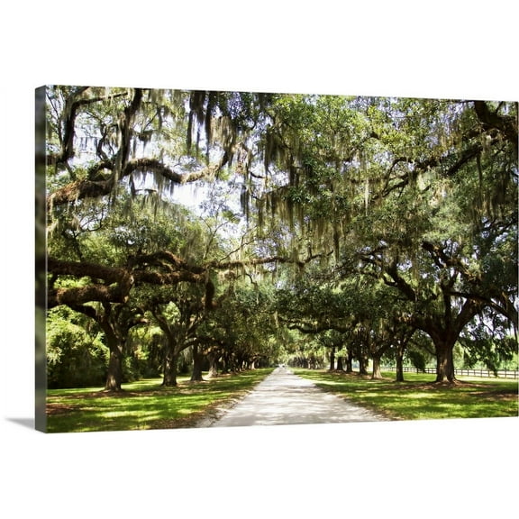 Great BIG Canvas | "Charleston Oaks I" Canvas Wall Art - 30x20