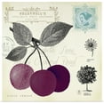 thumbnail image 1 of Great BIG Canvas | "Cherry Notes" Art Print - 24x24, 1 of 4