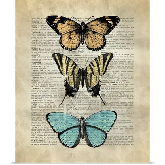 Great BIG Canvas | Rolled Circle Art Group Poster Print entitled Vintage Dictionary Art: Butterfly Specimen