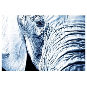 Great BIG Canvas | "Close Up Of An Elephant's Face" Art Print - 30x20