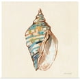 thumbnail image 1 of Great BIG Canvas | "Coastal Teal Shells II" Art Print - 24x24, 1 of 4