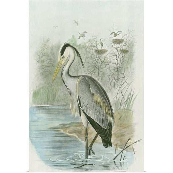 Great BIG Canvas | "Common Heron" Art Print - 20x30