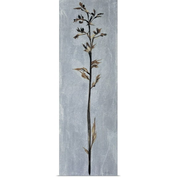 Great BIG Canvas | "Cool Botanicals III" Art Print - 12x36