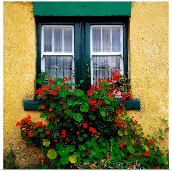 Great BIG Canvas | "Cottage Window, County Antrim, Ireland" Art Print - 20x20