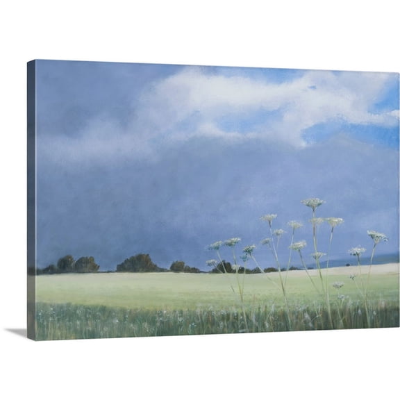 Great BIG Canvas | "Cow Parsley, 2012" Canvas Wall Art - 36x24