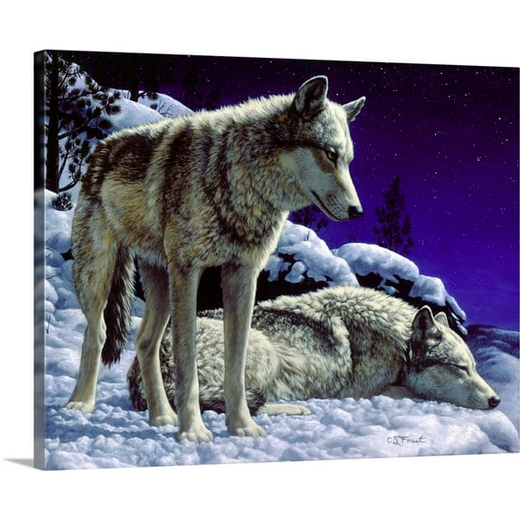 Great BIG Canvas | Crista Forest Premium Thick-Wrap Canvas entitled Night Watch