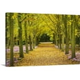 thumbnail image 1 of Great BIG Canvas | "Cyclamen Flowers In Bloom Beside Avenue Of Beech Trees, Anglesey Abbey, United Kingdom" Canvas Wall Art - 48x32, 1 of 2