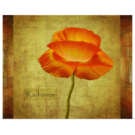 Great BIG Canvas | "Dancing Poppy Radiance" Art Print - 20x16