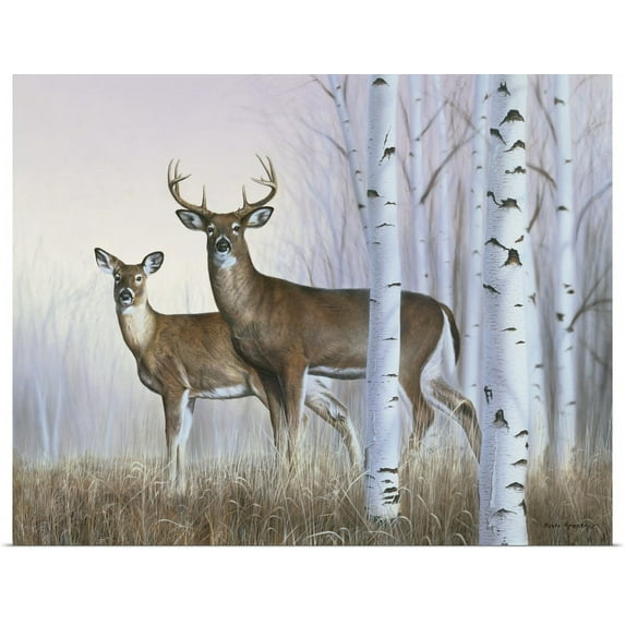 GBC | "Deer In Birch Woods" Art Print - 30x24