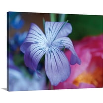 Great BIG Canvas | "Delicate Flower I" Canvas Wall Art - 24x18