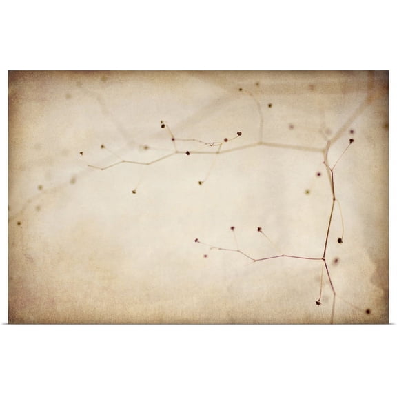 Great BIG Canvas | "Desert Afterlife 1B" Art Print - 24x16