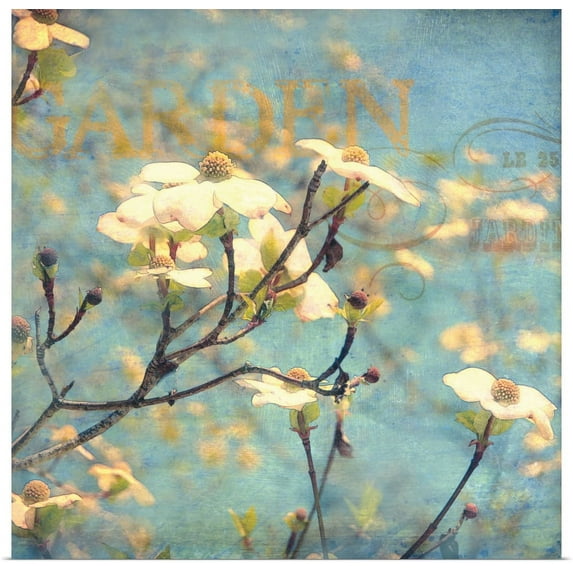 Great BIG Canvas | "Dogwood II" Art Print - 30x30